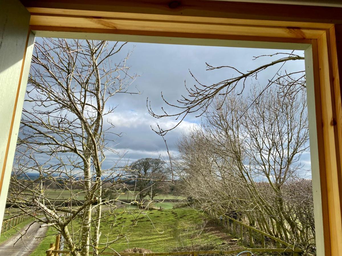 Lowgingerfield Shepherd Hut Richmond (North Yorkshire)