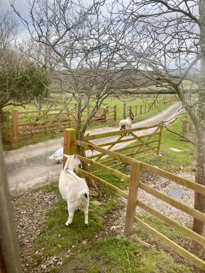 Luxury tent Lowgingerfield Shepherd Hut *