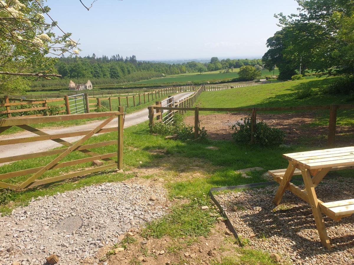 Luxury tent Lowgingerfield Shepherd Hut Richmond (North Yorkshire)